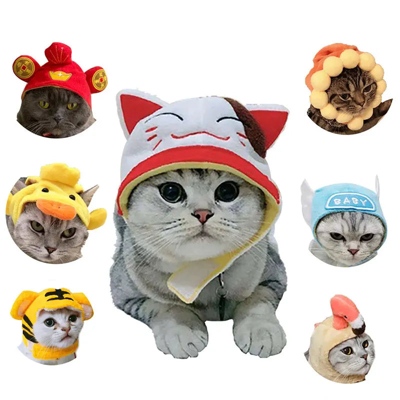 Cat hat Hat - Gourd Festive Paws