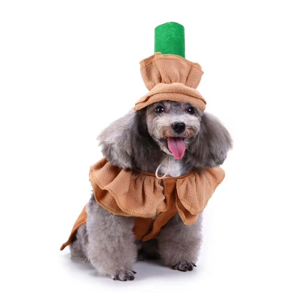 Frappe-Dawg Costume