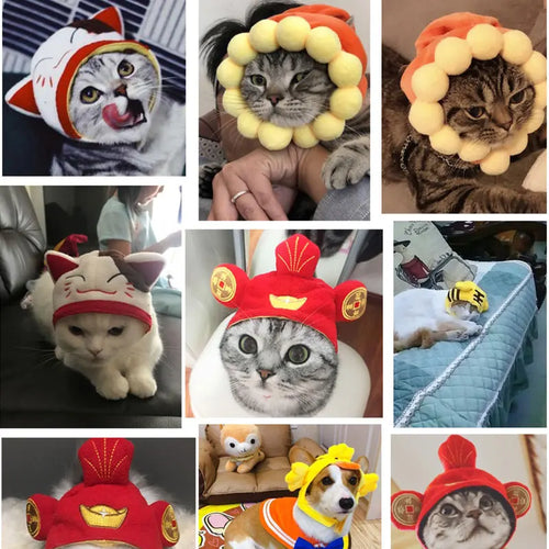 Cat hat Hat - Gourd Festive Paws