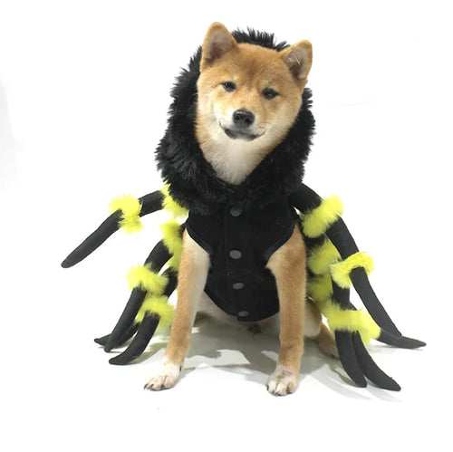 All Saints' Day Dog Cat Pet Spider Transformation Costume Cosplay Dog Halloween Funny Dog Clothing Costumes Festive Paws