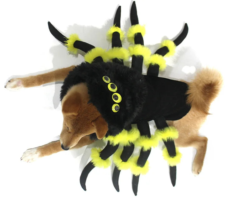 Yellow Spider Costume Dog