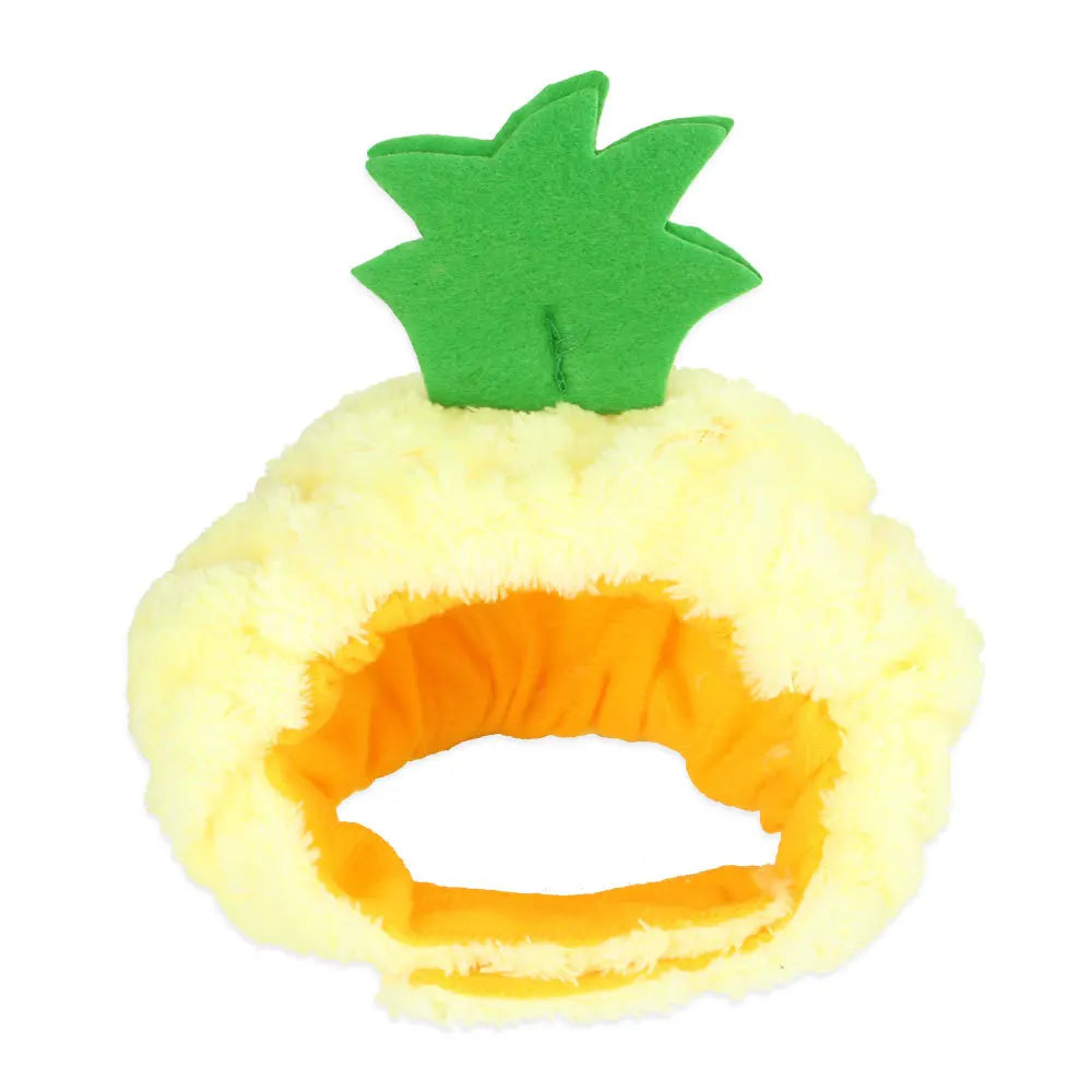 Funny Pet Hat - Gourd Festive Paws