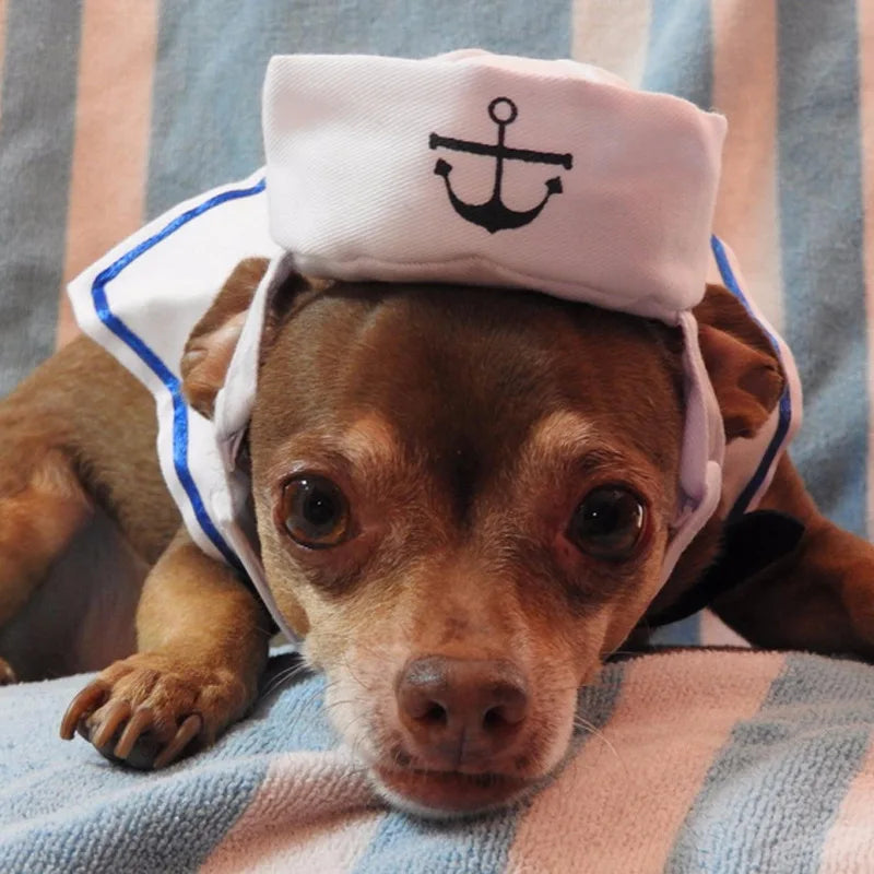 Sailor Cat Costume