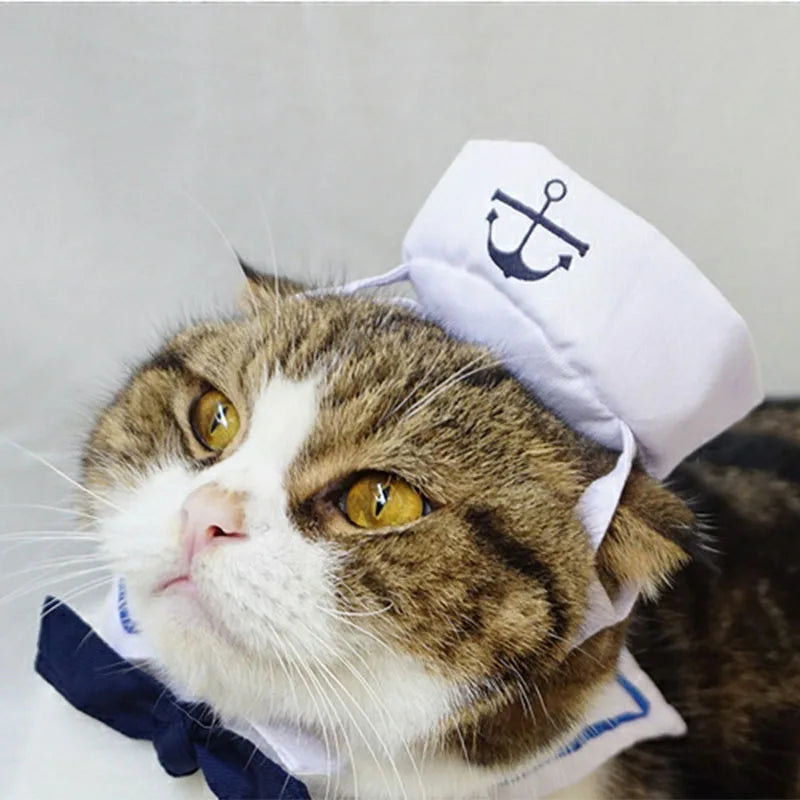 Sailor Cat Costume