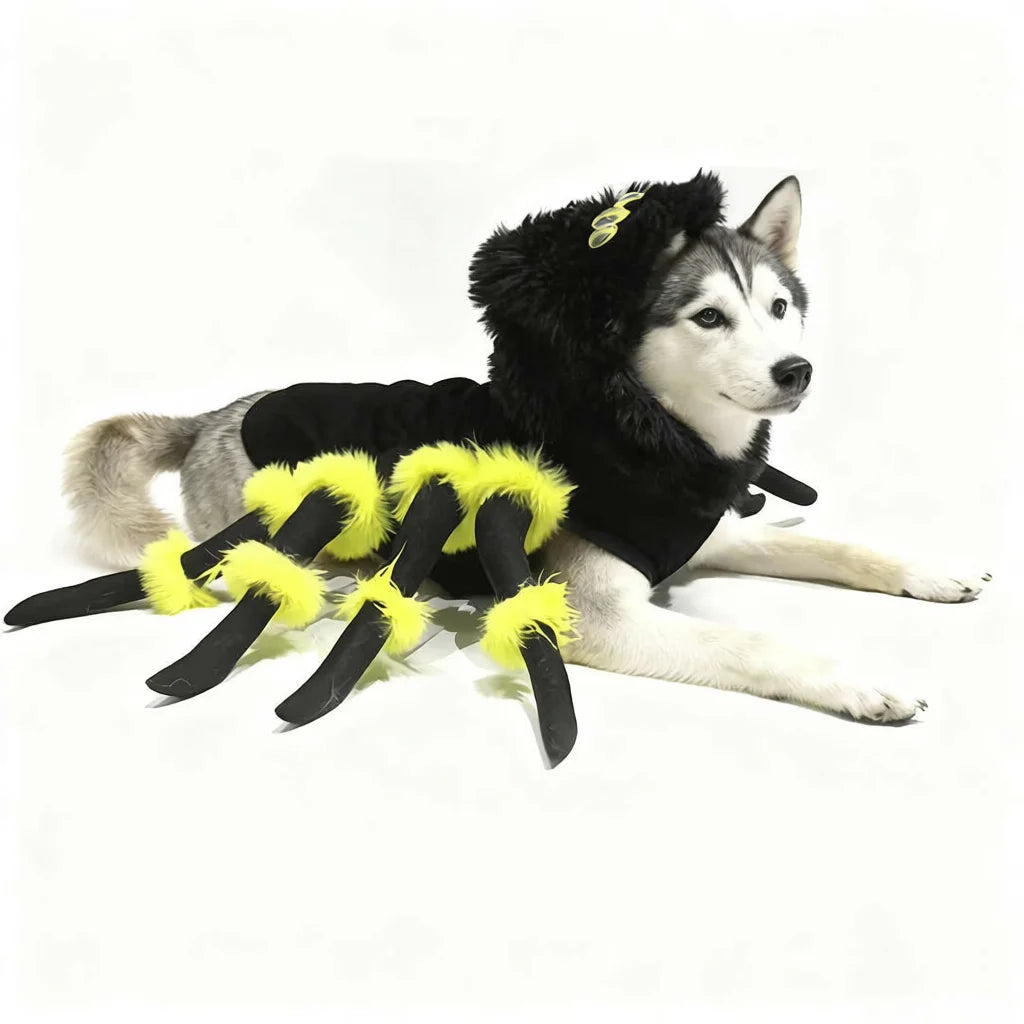 Yellow Spider Costume Dog