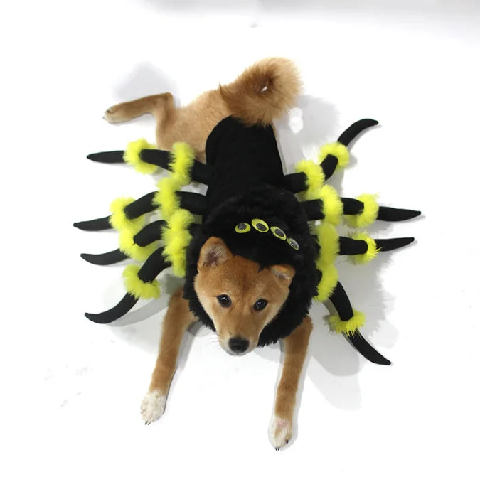 Yellow Spider Costume Dog