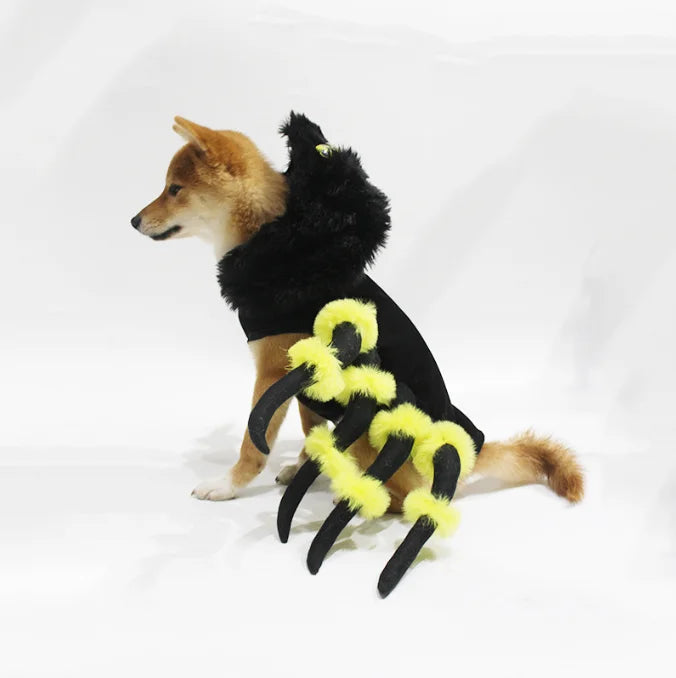 Yellow Spider Costume Dog
