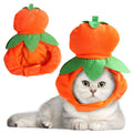 Cat hat Hat - Gourd Festive Paws