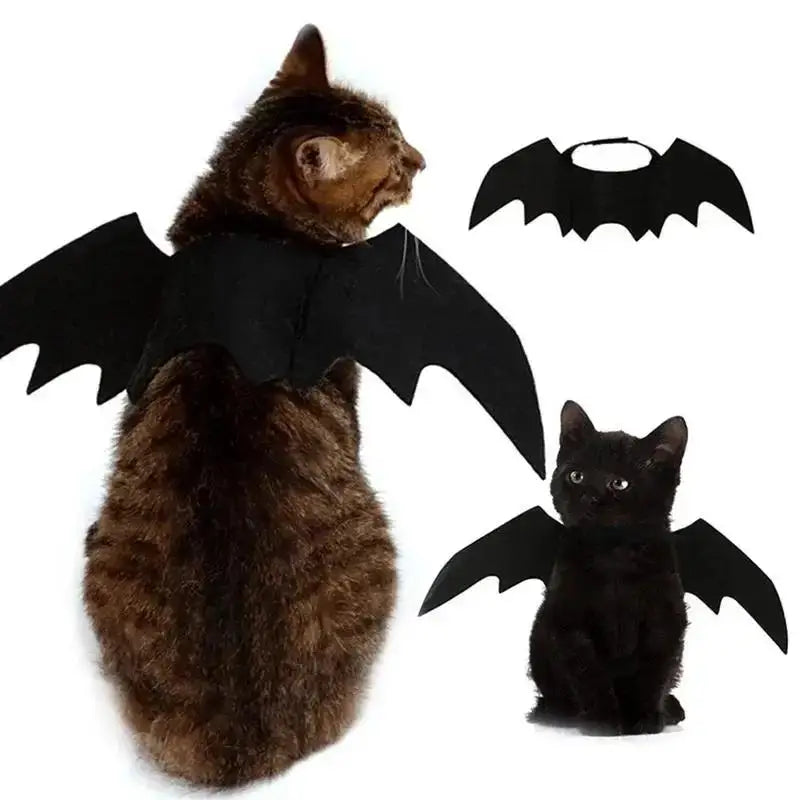 Black Bat Wings Cat / Dog