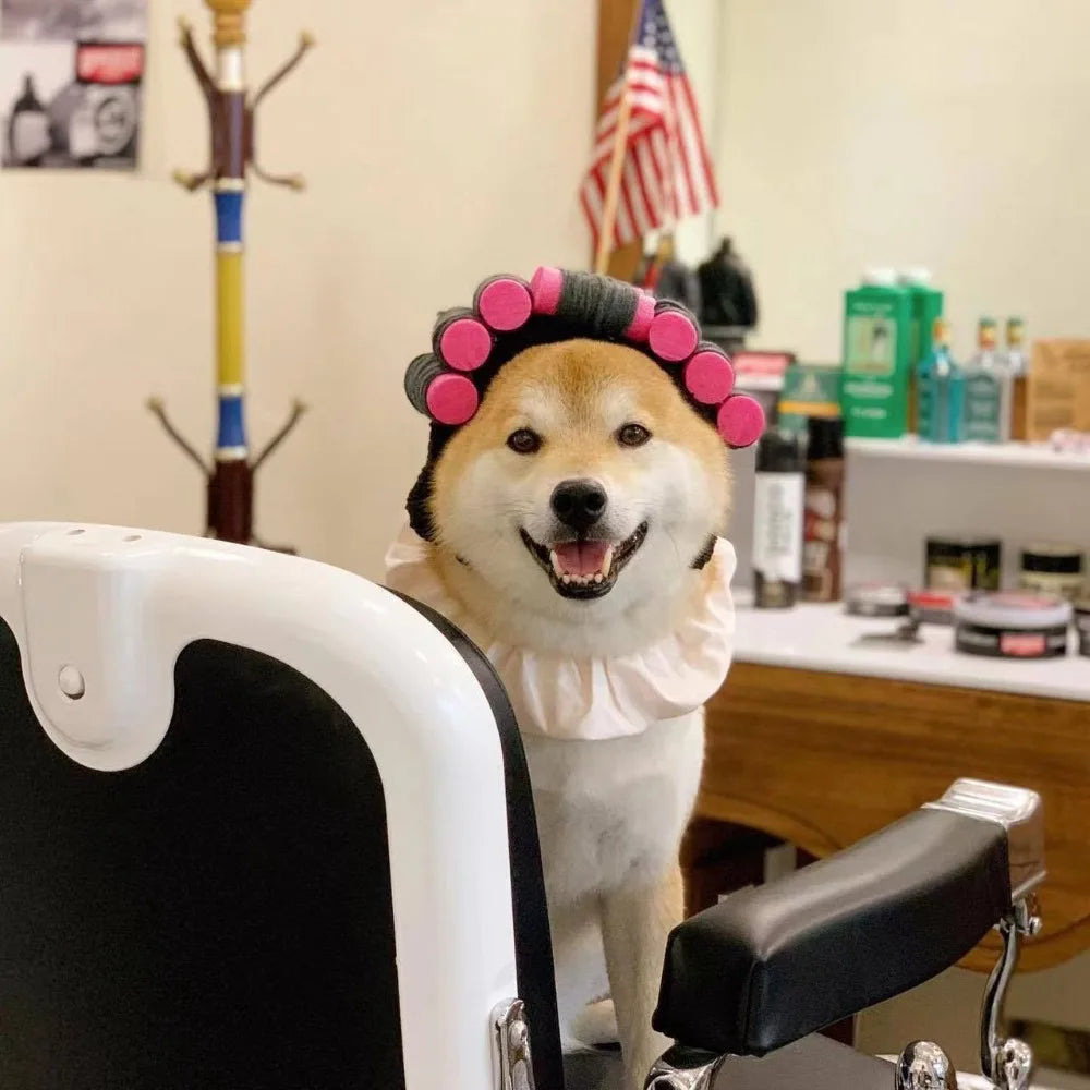 Roller Curls Hat for Pets Festive Paws