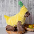 Hooded Banana Costume Dog / Cat