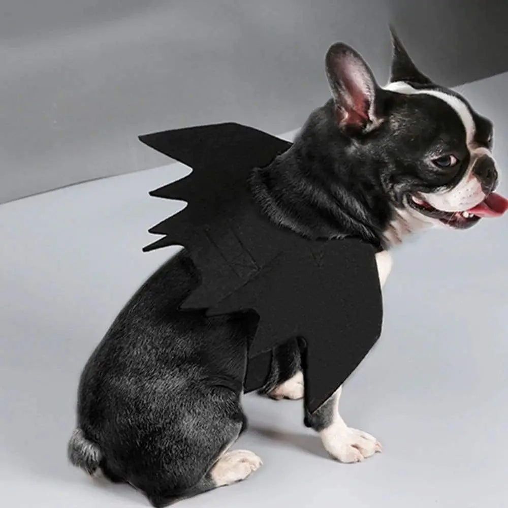 Black Bat Wings Cat / Dog