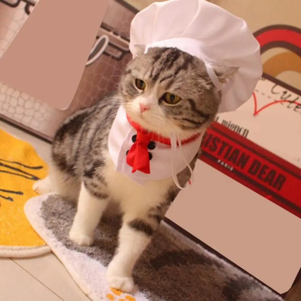 Chef Hat Set Cooking Cat / Dog