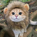 Lion HeadMask for cats and dogs