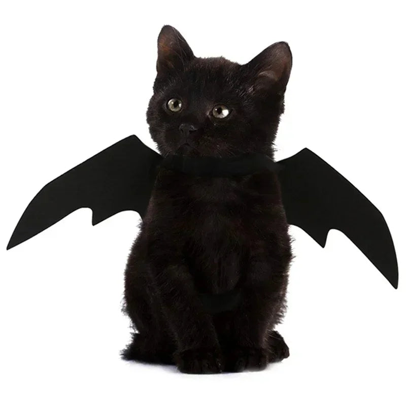 Black Bat Wings Pet Festive Paws