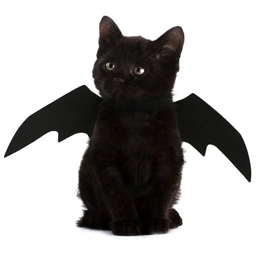 Black Bat Wings Pet Festive Paws