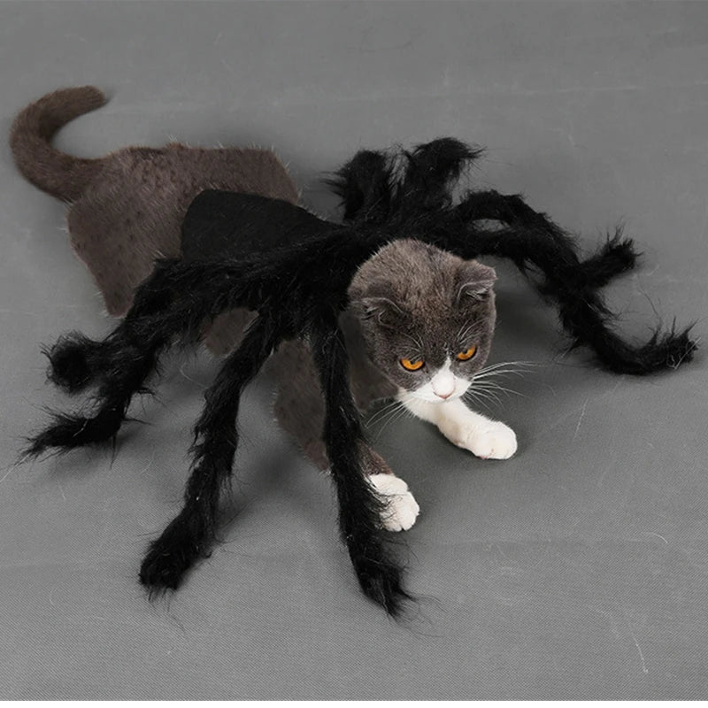 NONOR Halloween Dog Cat Clothes Pet Cosplay Funny Spider Costume Halloween Party Costumes for Small Medium Dog Cat Costumes Festive Paws