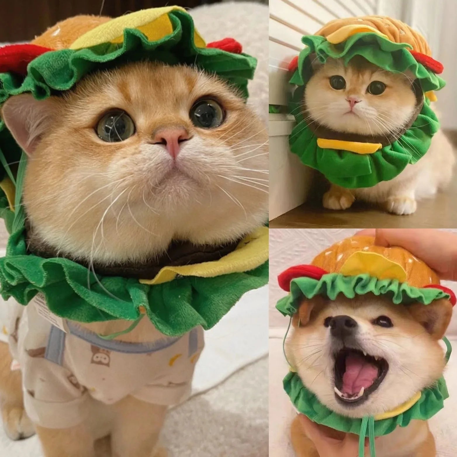Hat Burger for pets