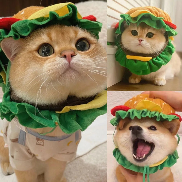 Hat Burger for pets Festive Paws