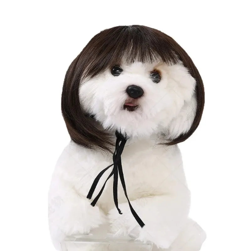 Creative Funny Pet Wig Bob Head with Neat Bangs Cosplay Costume Props Cute Dress Up Headwear for Small Dog Cat Party Use Festive Paws