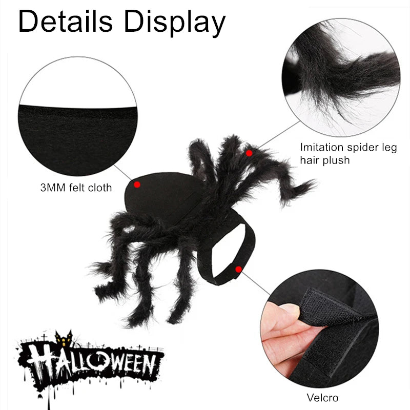 NONOR Halloween Dog Cat Clothes Pet Cosplay Funny Spider Costume Halloween Party Costumes for Small Medium Dog Cat Costumes Festive Paws