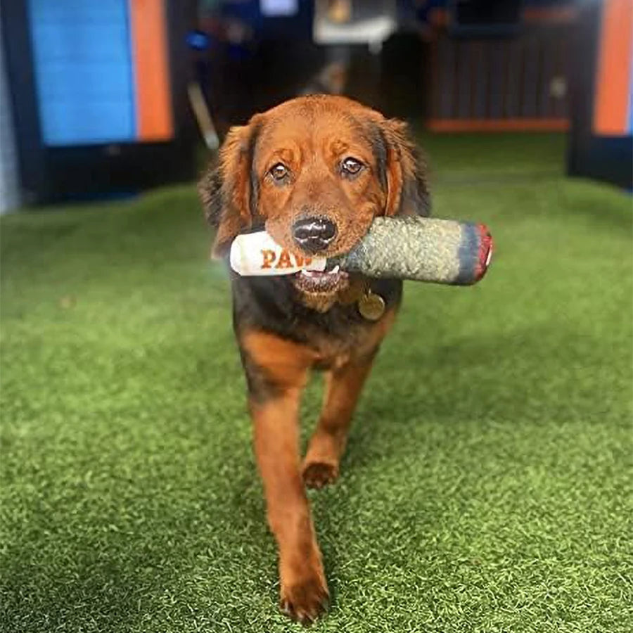 Plush Squeaky Toys for Medium, Small and Large - Cool Stuffed Cute Gifts for Dog Birthday Festive Paws