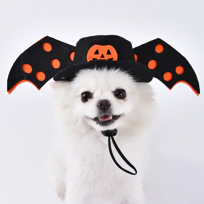 Halloween Pet Dog Clothes Transformed Pet Apparel and Wig for Holiday Party Pet Supplies Funny Bloody Doll With Knife Dog Costum Festive Paws