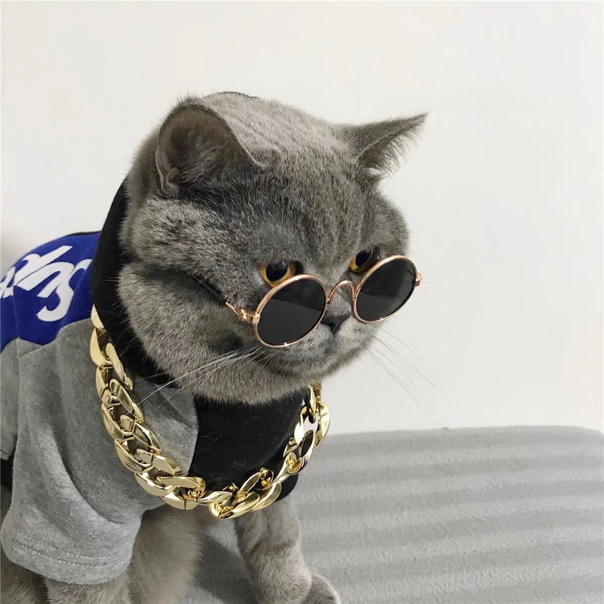 Vintage Round Cat Sunglasses Reflection Eyewear Glasses Pet Products for Dog Kitten Dog Cat Accessories for Small Dogs Festive Paws