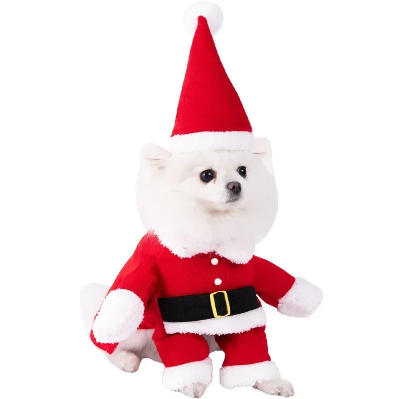 Halloween Pet Dog Clothes Transformed Pet Apparel and Wig for Holiday Party Pet Supplies Funny Bloody Doll With Knife Dog Costum Festive Paws