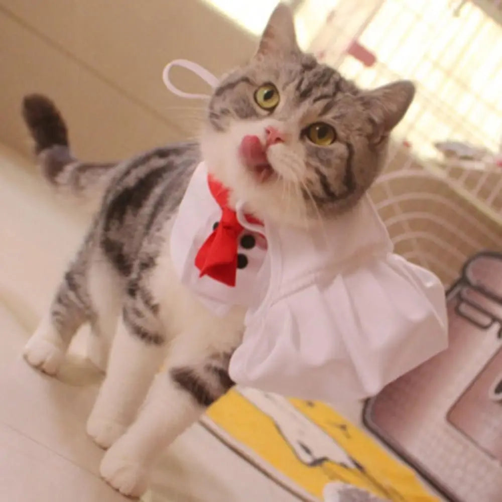 Chef Hat Set Cooking Cat / Dog