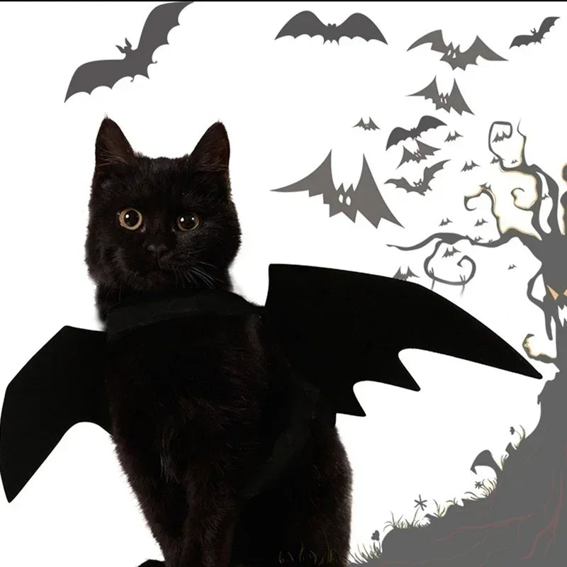 Black Bat Wings Pet Festive Paws