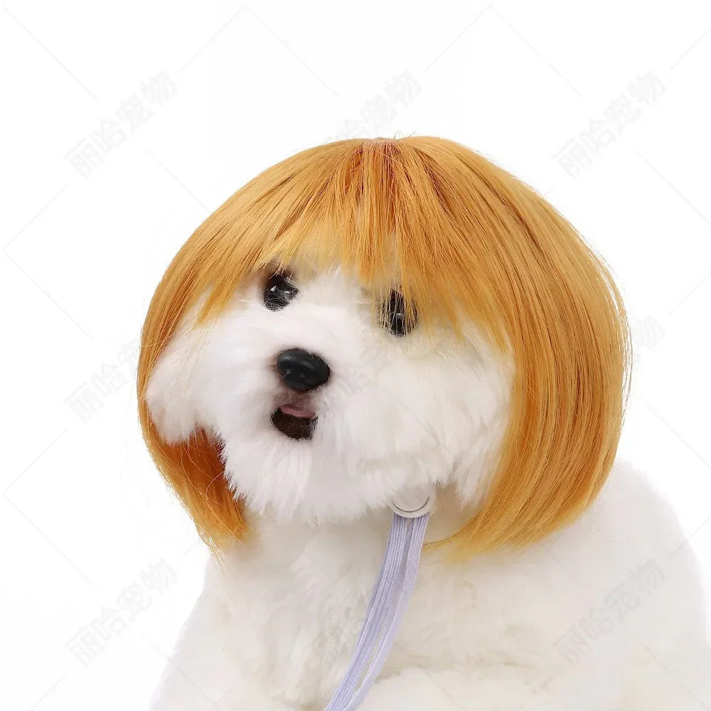 Creative Funny Pet Wig Bob Head with Neat Bangs Cosplay Costume Props Cute Dress Up Headwear for Small Dog Cat Party Use Festive Paws
