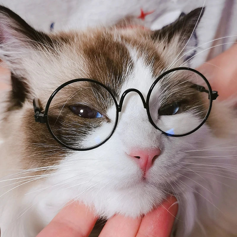 Vintage Round Cat Sunglasses Reflection Eyewear Glasses Pet Products for Dog Kitten Dog Cat Accessories for Small Dogs Festive Paws