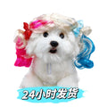 Creative Funny Pet Wig Bob Head with Neat Bangs Cosplay Costume Props Cute Dress Up Headwear for Small Dog Cat Party Use Festive Paws