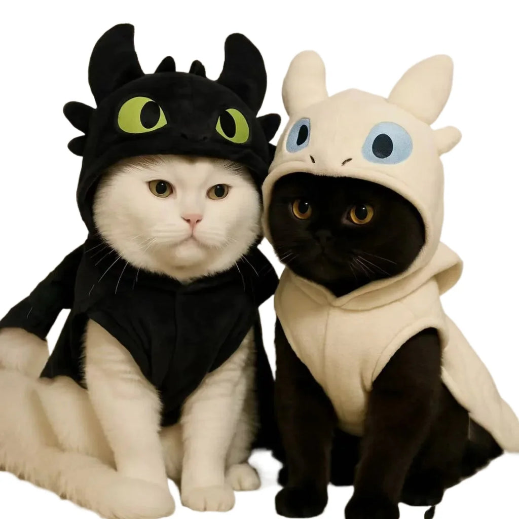 Movie Dragon theme pet costume
