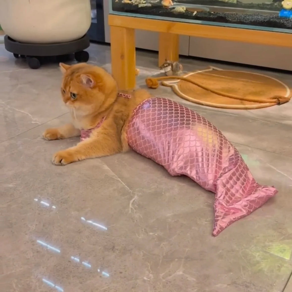 Mermaid Cat Halloween Costumes Sparkly Cosplay Dog Clothes Outfit for Small Kitten Birthday Party Dressing Up Pet Costumes   Cos Festive Paws