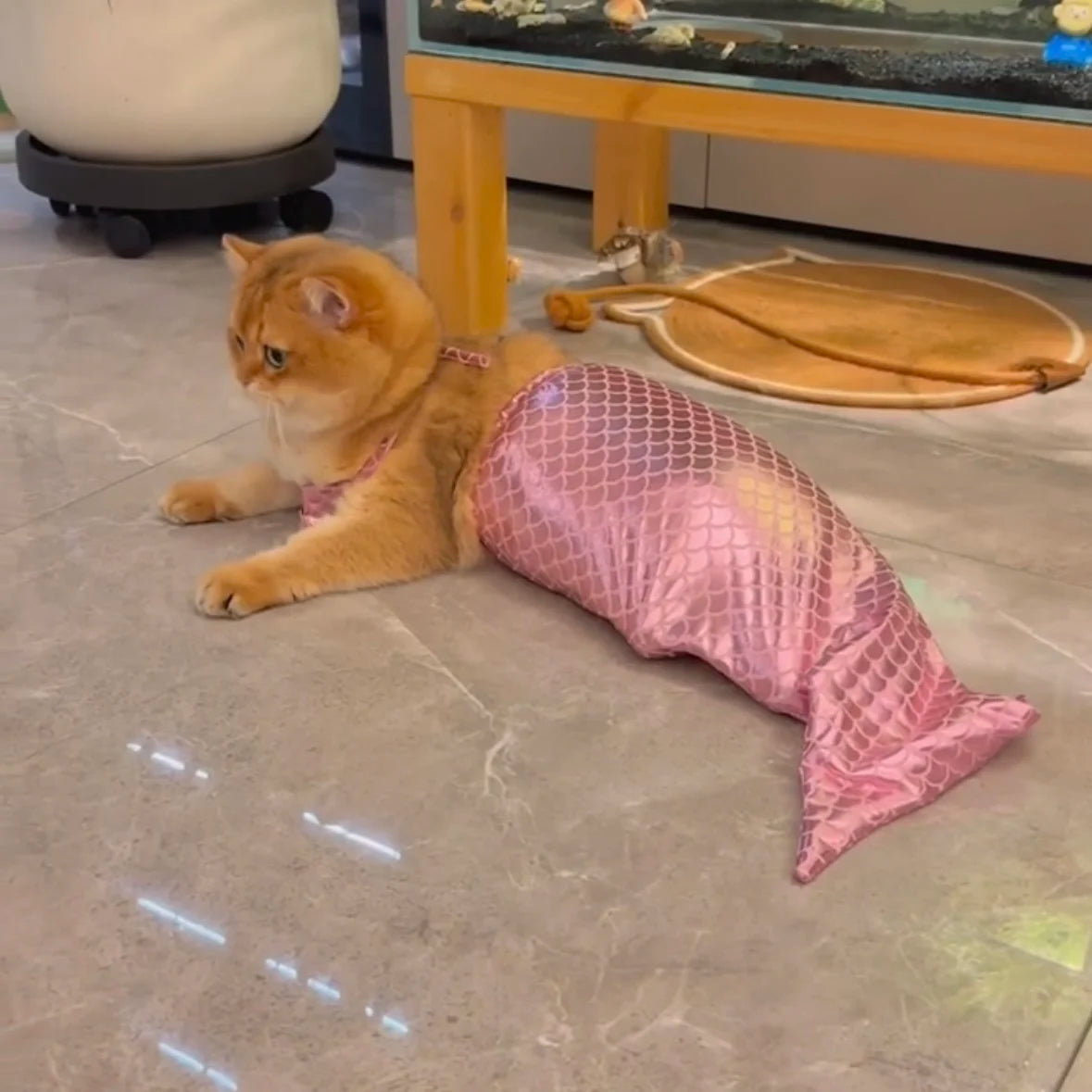 Mermaid Cat Halloween Costumes Sparkly Cosplay Dog Clothes Outfit for Small Kitten Birthday Party Dressing Up Pet Costumes   Cos Festive Paws