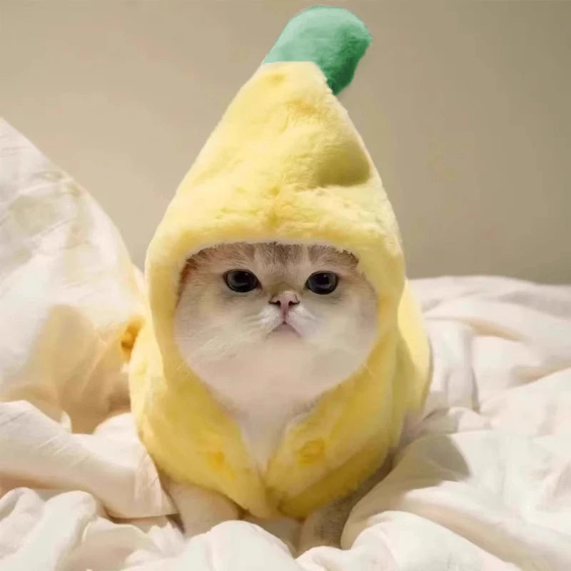 Hooded Banana Costume Dog / Cat