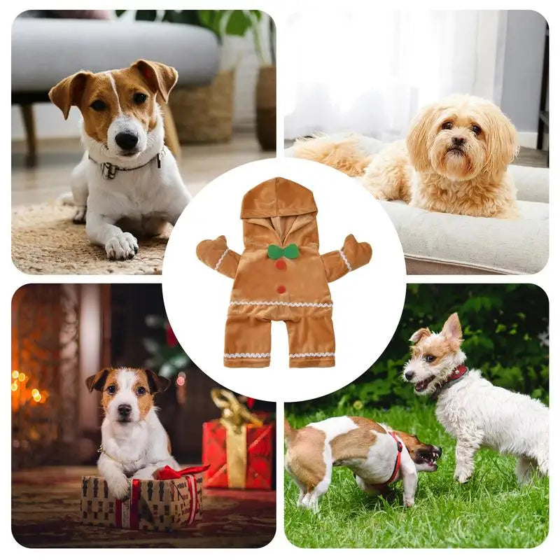 Gingerbread Dog Costume