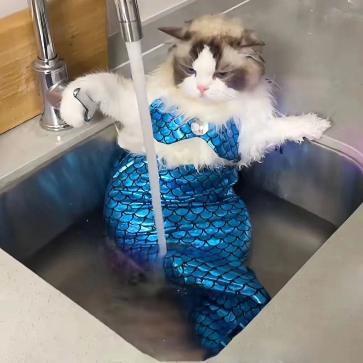 Mermaid Cat Halloween Costumes Sparkly Cosplay Dog Clothes Outfit for Small Kitten Birthday Party Dressing Up Pet Costumes   Cos Festive Paws