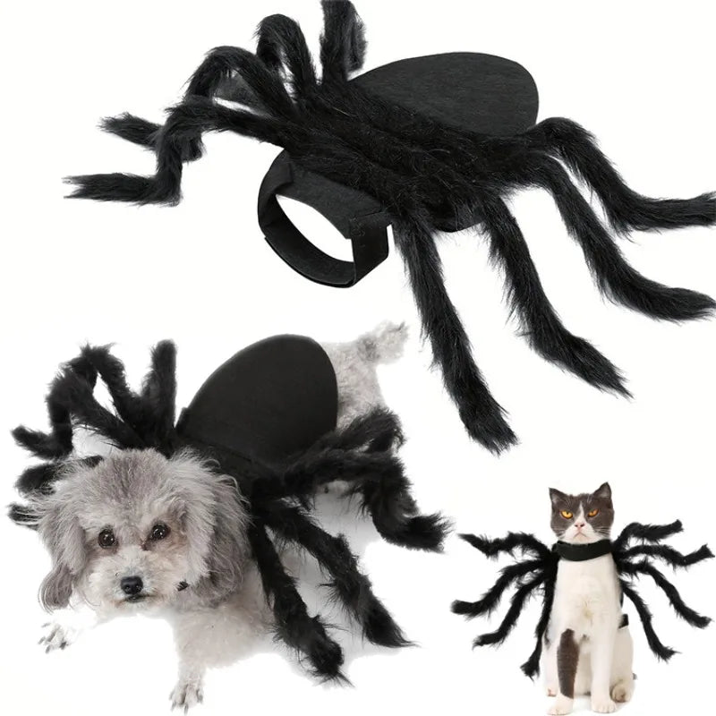 Spider Costume  Dog / Cat