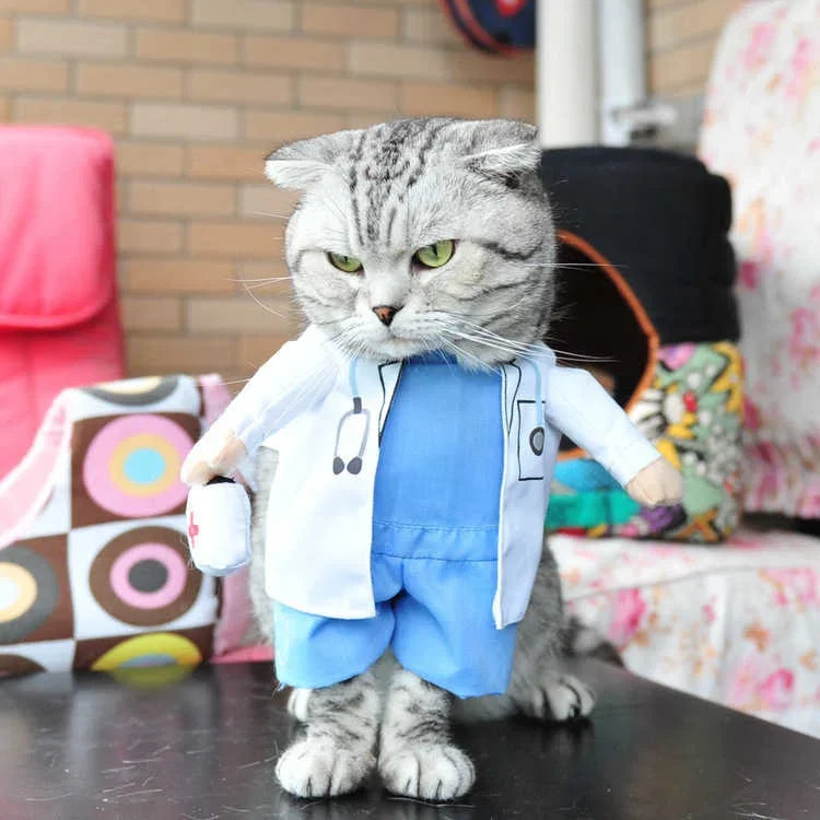 Doctor Cat Costume