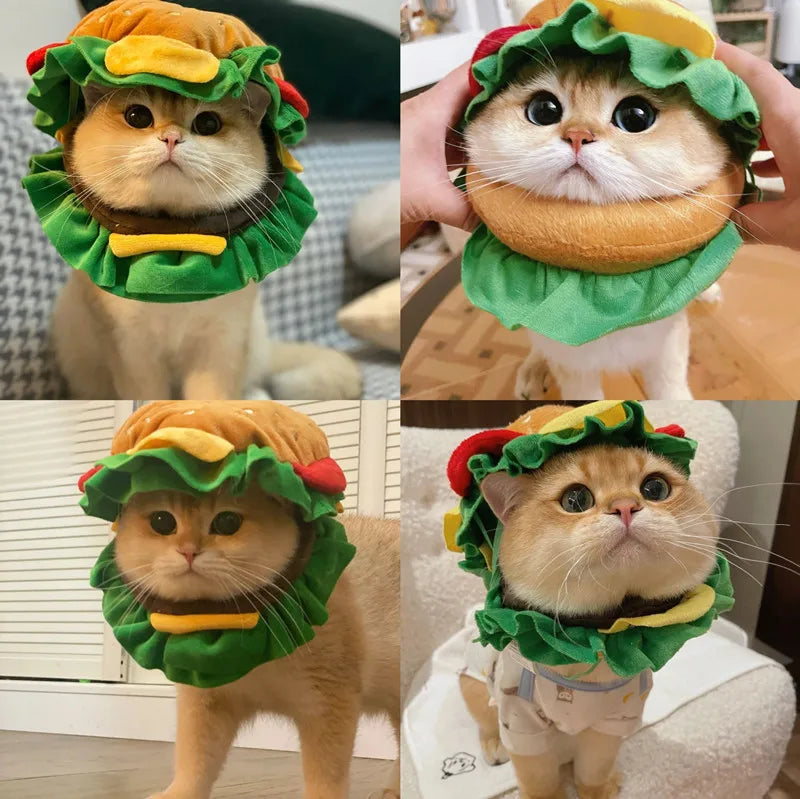 Hat Burger for pets
