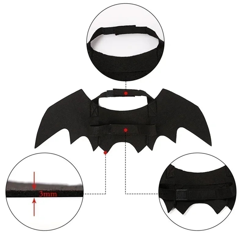 Black Bat Wings Pet Festive Paws