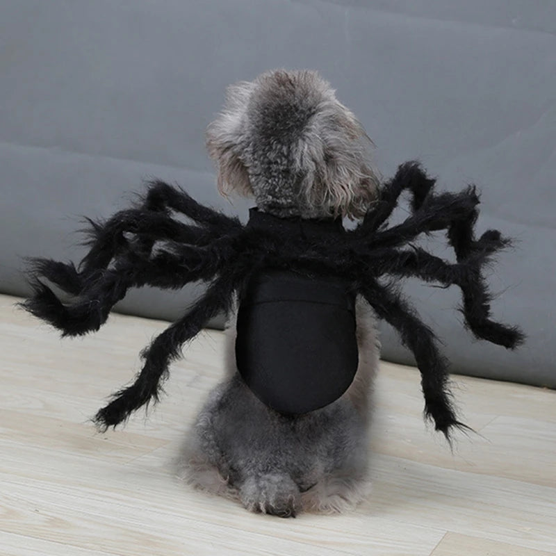 NONOR Halloween Dog Cat Clothes Pet Cosplay Funny Spider Costume Halloween Party Costumes for Small Medium Dog Cat Costumes Festive Paws