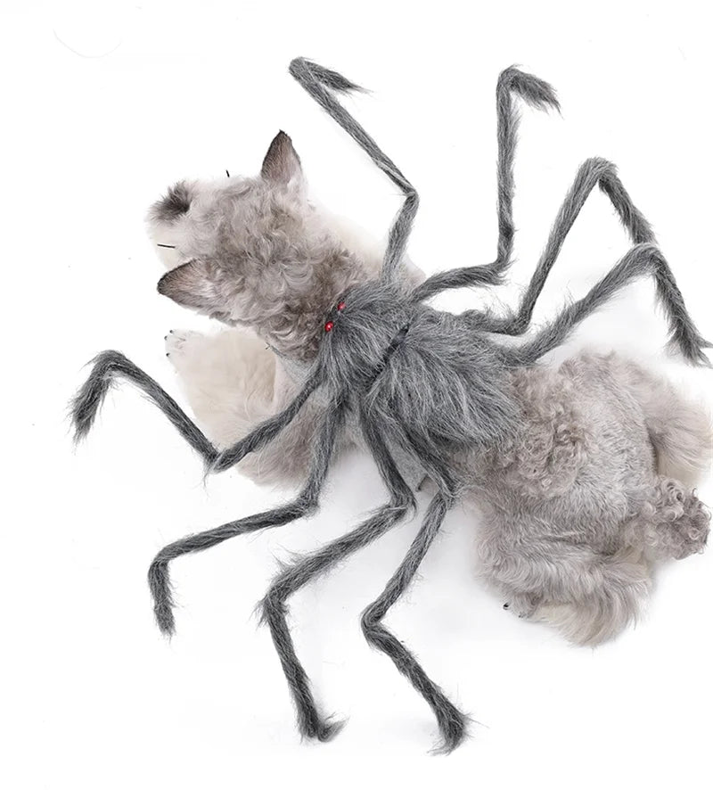 Gray Spider with eyes- pet costume