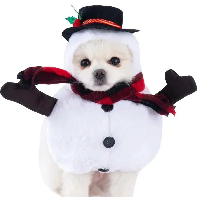 Halloween Pet Dog Clothes Transformed Pet Apparel and Wig for Holiday Party Pet Supplies Funny Bloody Doll With Knife Dog Costum Festive Paws