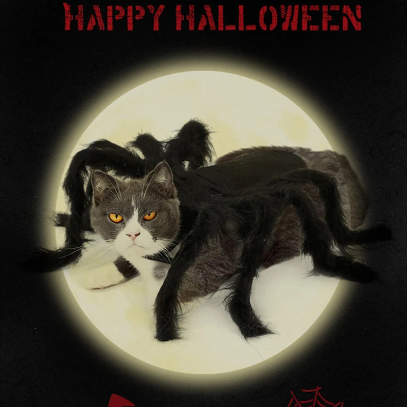 NONOR Halloween Dog Cat Clothes Pet Cosplay Funny Spider Costume Halloween Party Costumes for Small Medium Dog Cat Costumes Festive Paws
