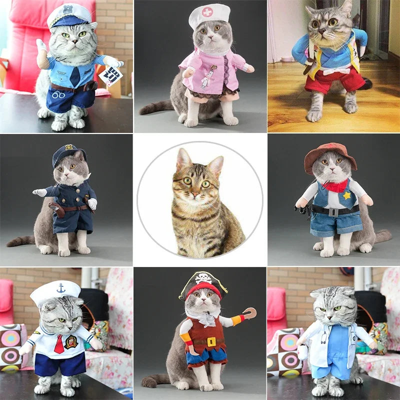 Nurse cat costume