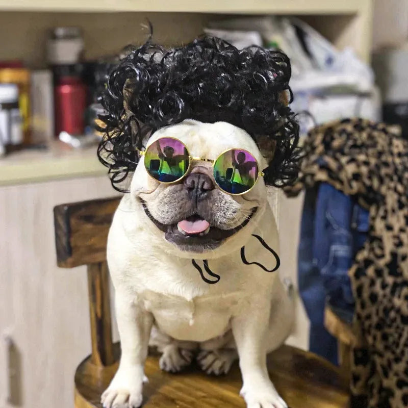 Dogs Cats Headdress Funny Pet Wigs Bangs Exploding Head Braids Straight Hair Nylon Fibre Material Halloween Pet Accessories Festive Paws